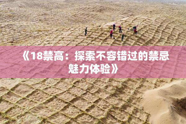 《18禁高：探索不容错过的禁忌魅力体验》