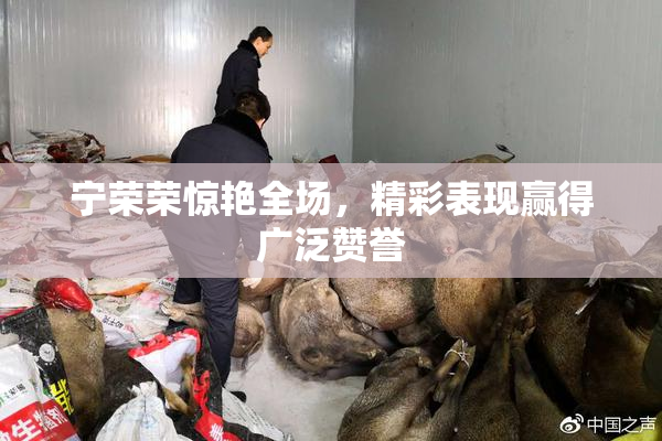 宁荣荣惊艳全场，精彩表现赢得广泛赞誉