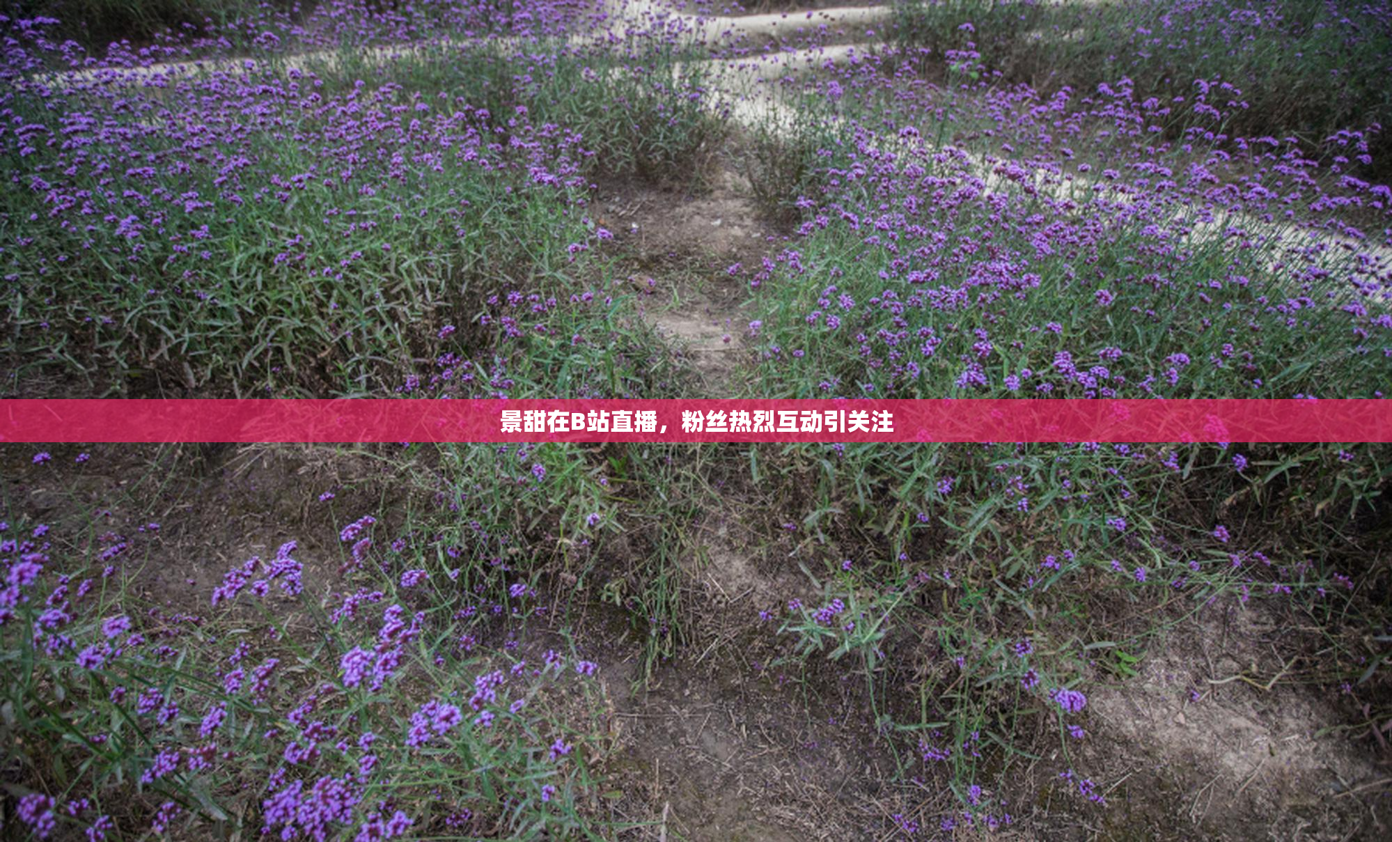 景甜在B站直播，粉丝热烈互动引关注