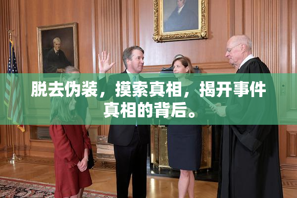 脱去伪装，摸索真相，揭开事件真相的背后。