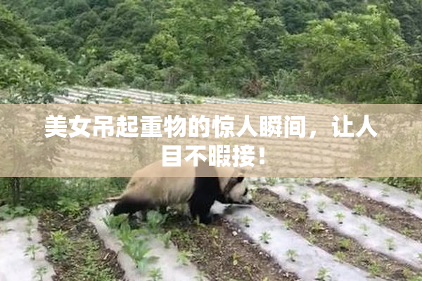 美女吊起重物的惊人瞬间，让人目不暇接！