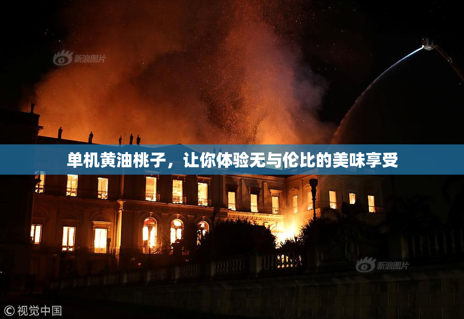 单机黄油桃子，让你体验无与伦比的美味享受