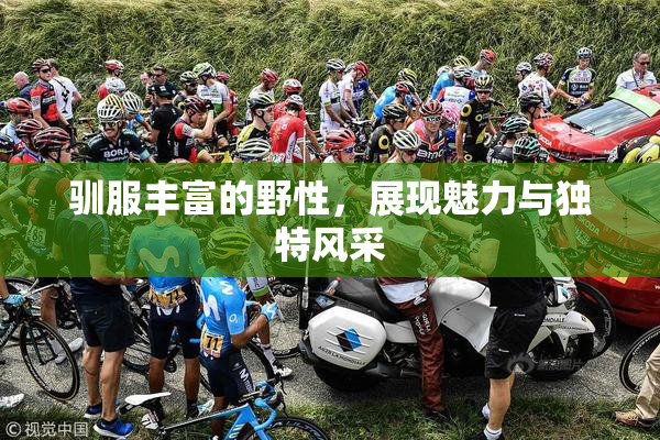驯服丰富的野性，展现魅力与独特风采