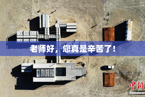 老师好，您真是辛苦了！
