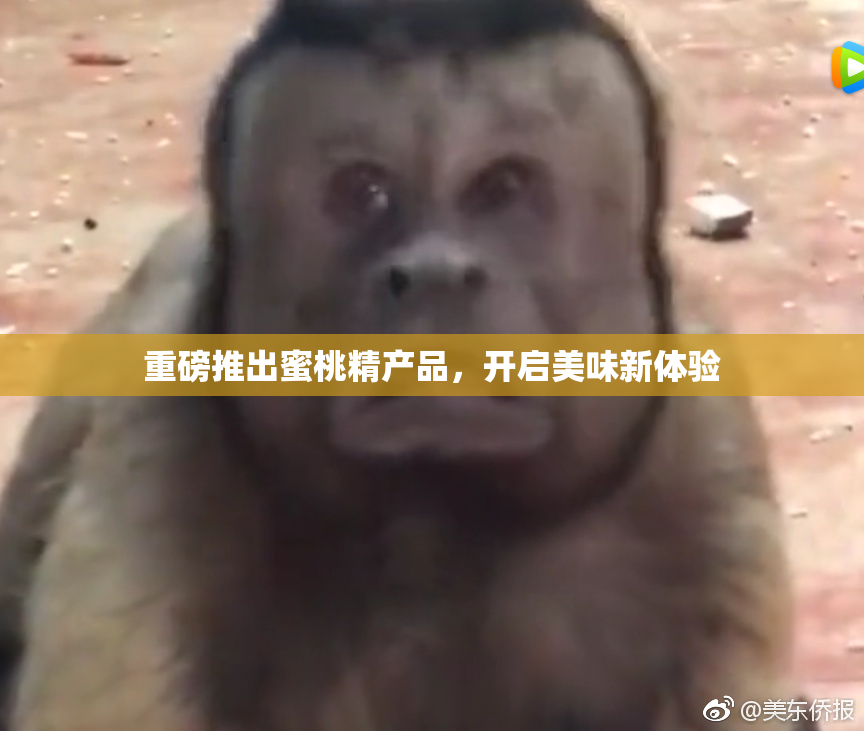 重磅推出蜜桃精产品，开启美味新体验