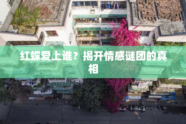 红蝶爱上谁？揭开情感谜团的真相