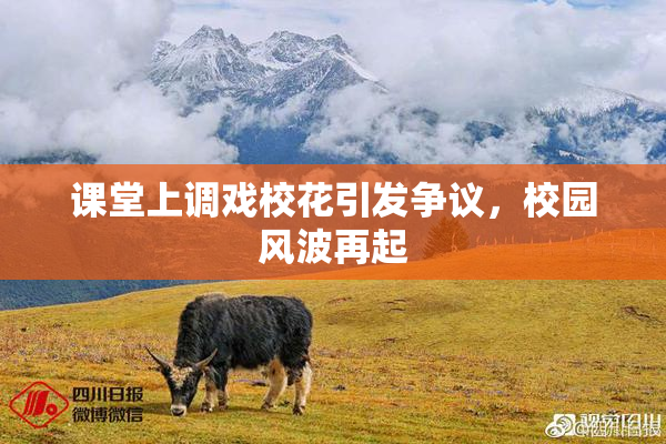 课堂上调戏校花引发争议，校园风波再起