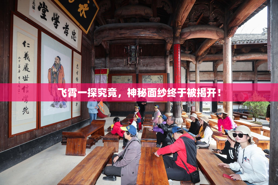飞霄一探究竟，神秘面纱终于被揭开！