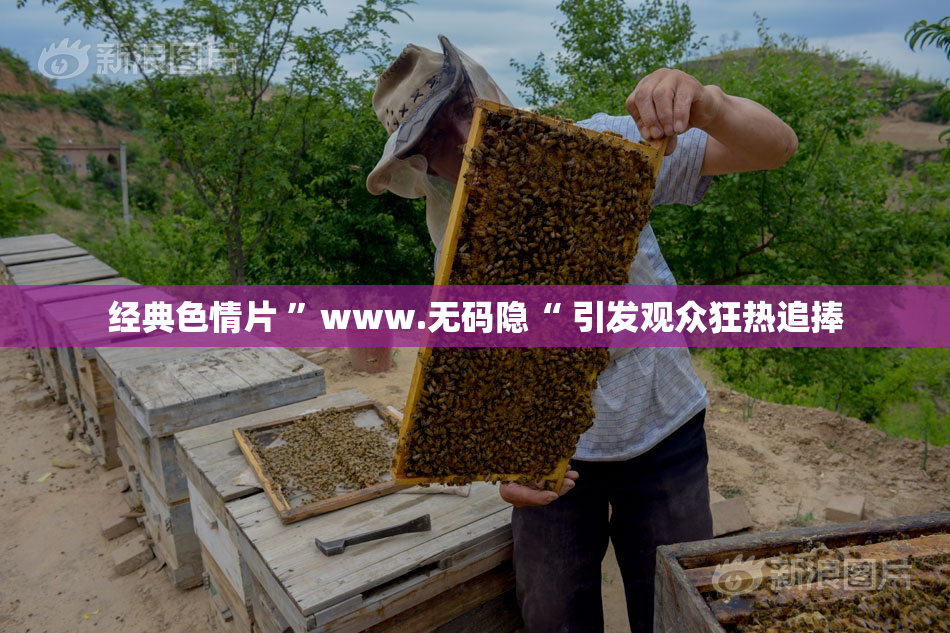 经典色情片 ”www.无码隐“ 引发观众狂热追捧