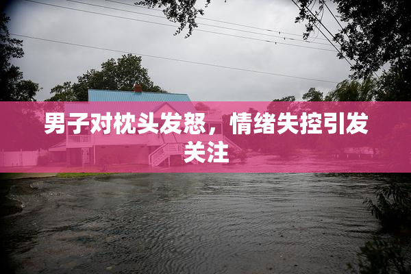 男子对枕头发怒，情绪失控引发关注