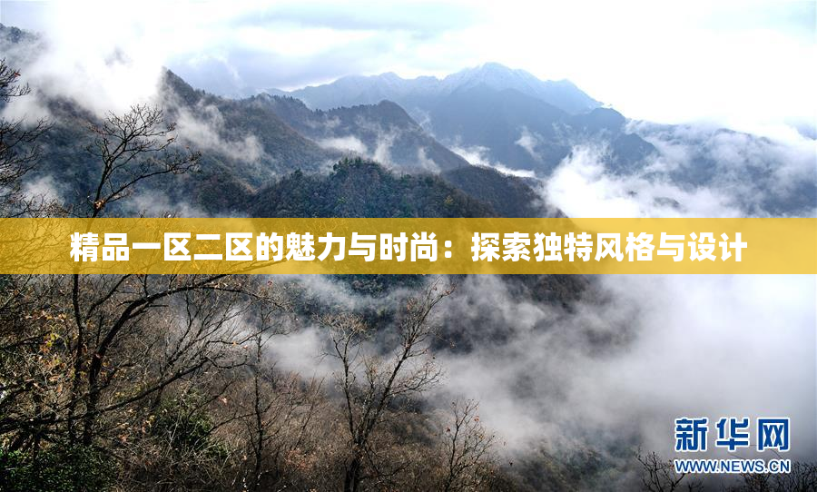 精品一区二区的魅力与时尚：探索独特风格与设计
