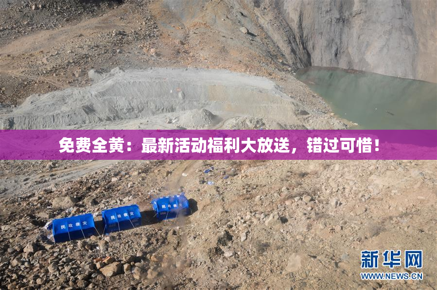 免费全黄：最新活动福利大放送，错过可惜！