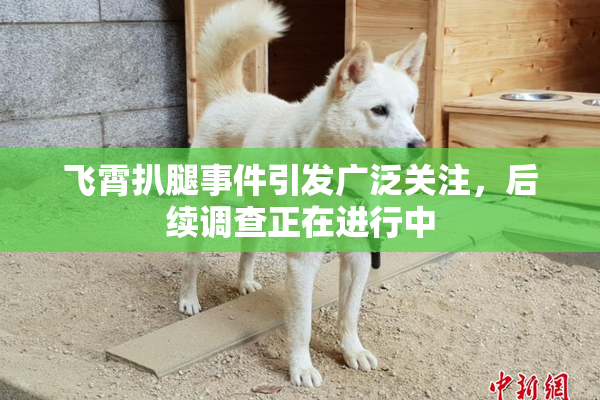 飞霄扒腿事件引发广泛关注，后续调查正在进行中