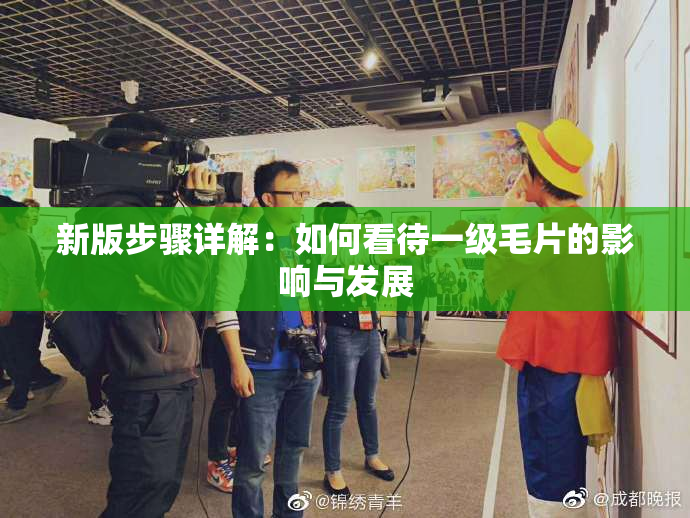 新版步骤详解：如何看待一级毛片的影响与发展