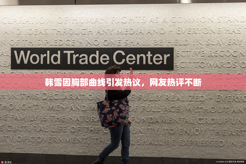 韩雪因胸部曲线引发热议，网友热评不断
