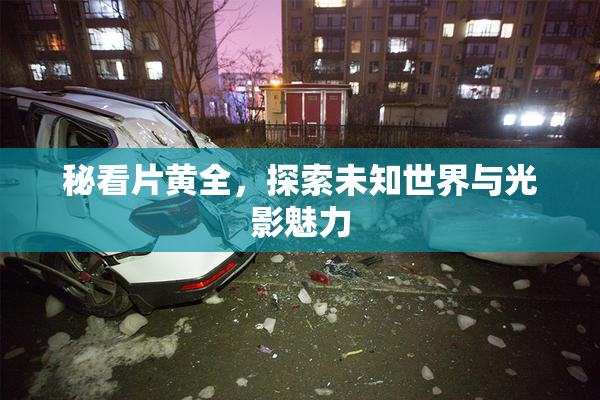 秘看片黄全，探索未知世界与光影魅力