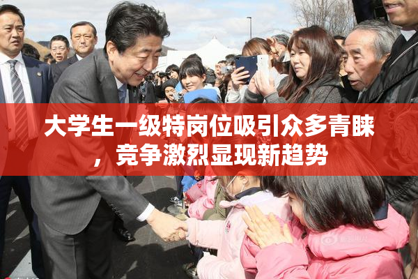 大学生一级特岗位吸引众多青睐，竞争激烈显现新趋势