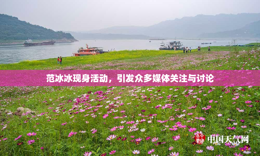 范冰冰现身活动，引发众多媒体关注与讨论