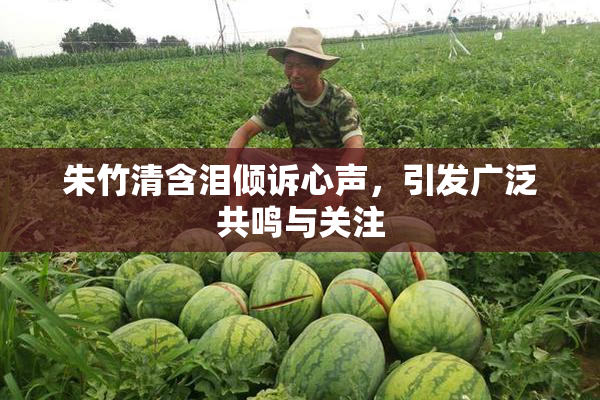 朱竹清含泪倾诉心声，引发广泛共鸣与关注