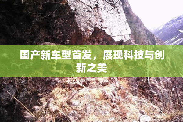 国产新车型首发，展现科技与创新之美