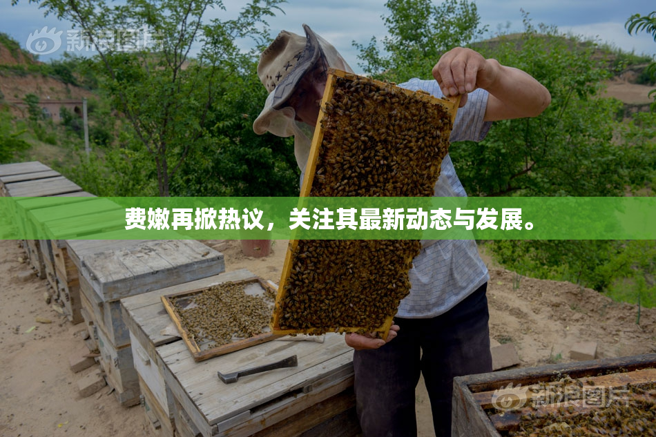 费嫩再掀热议，关注其最新动态与发展。