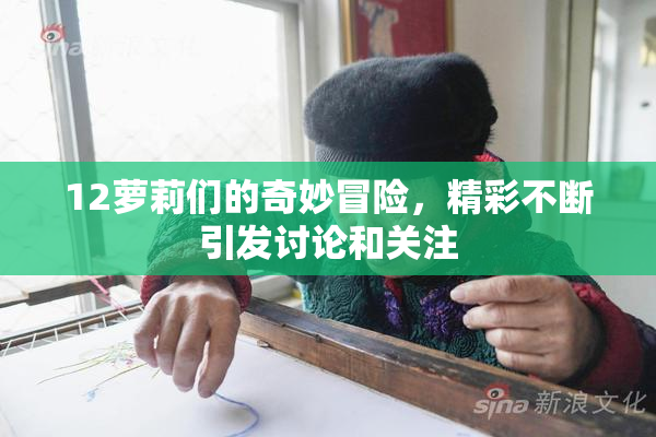 12萝莉们的奇妙冒险，精彩不断引发讨论和关注
