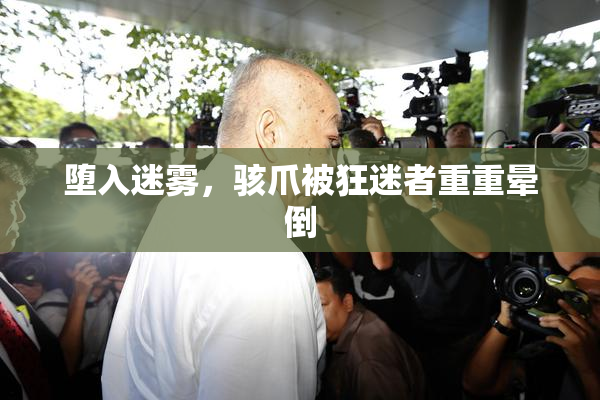 堕入迷雾，骇爪被狂迷者重重晕倒