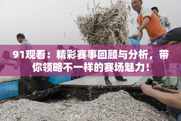 91观看：精彩赛事回顾与分析，带你领略不一样的赛场魅力！