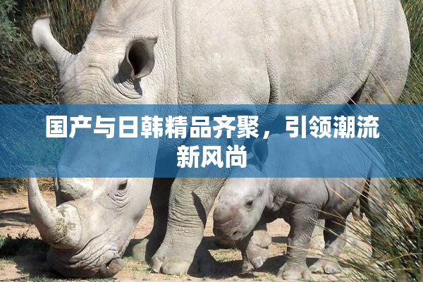 国产与日韩精品齐聚，引领潮流新风尚