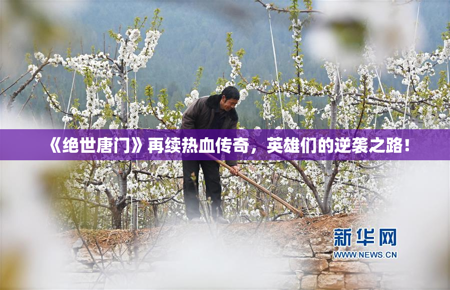 《绝世唐门》再续热血传奇，英雄们的逆袭之路！