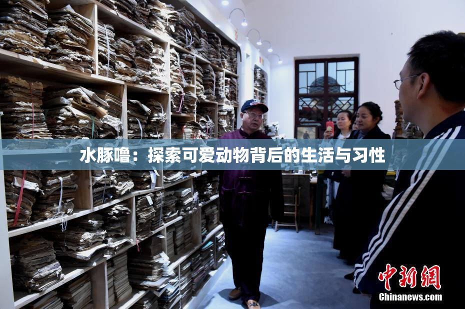 水豚噜：探索可爱动物背后的生活与习性