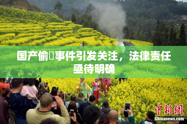 国产偷抇事件引发关注，法律责任亟待明确