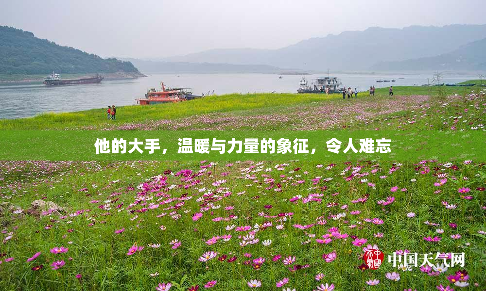 他的大手，温暖与力量的象征，令人难忘