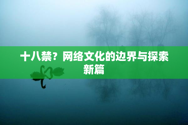 十八禁？网络文化的边界与探索新篇