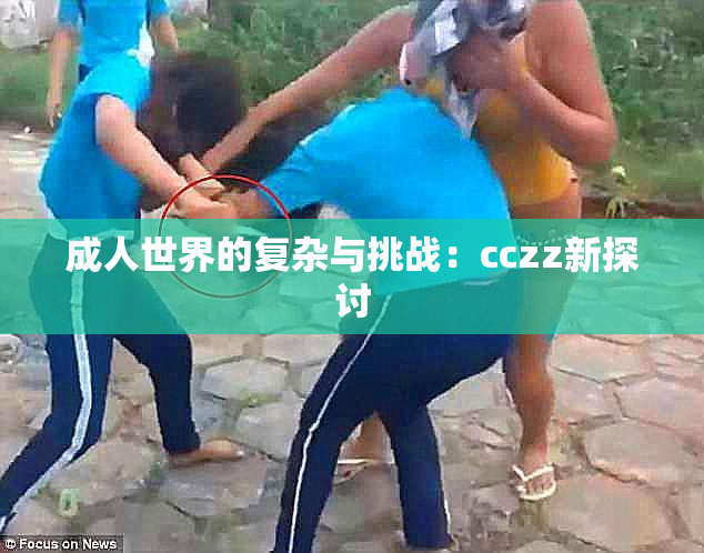 成人世界的复杂与挑战：cczz新探讨