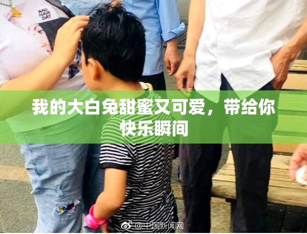 我的大白兔甜蜜又可爱，带给你快乐瞬间