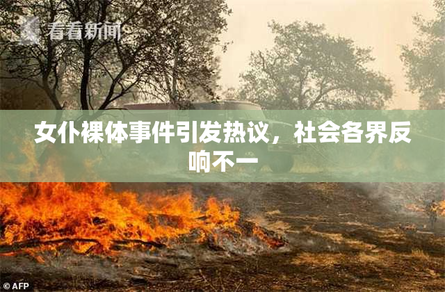 女仆裸体事件引发热议，社会各界反响不一