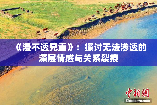 《浸不透兄重》：探讨无法渗透的深层情感与关系裂痕