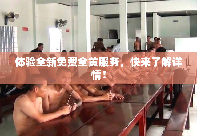 体验全新免费全黄服务，快来了解详情！