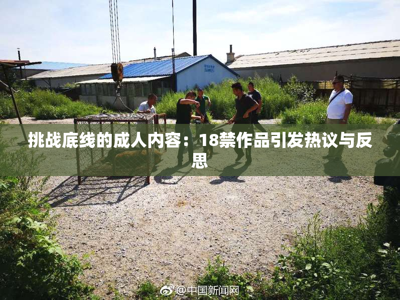 挑战底线的成人内容：18禁作品引发热议与反思