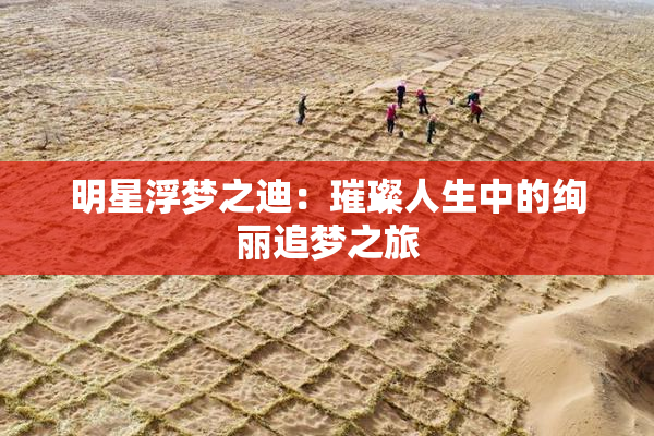 明星浮梦之迪：璀璨人生中的绚丽追梦之旅