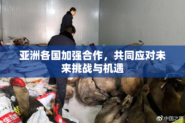亚洲各国加强合作，共同应对未来挑战与机遇