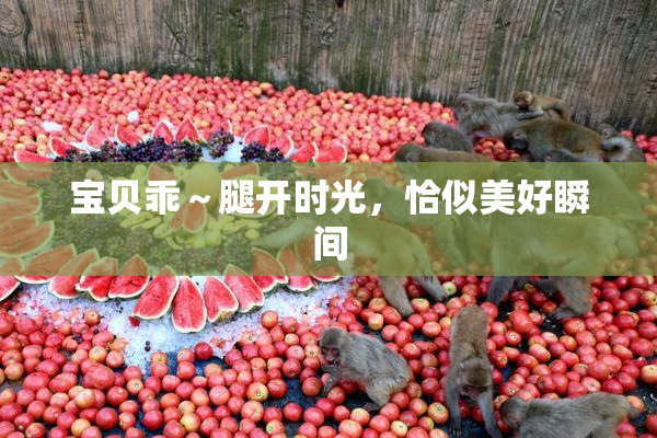 宝贝乖～腿开时光，恰似美好瞬间