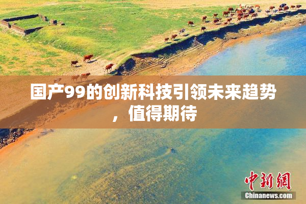国产99的创新科技引领未来趋势，值得期待