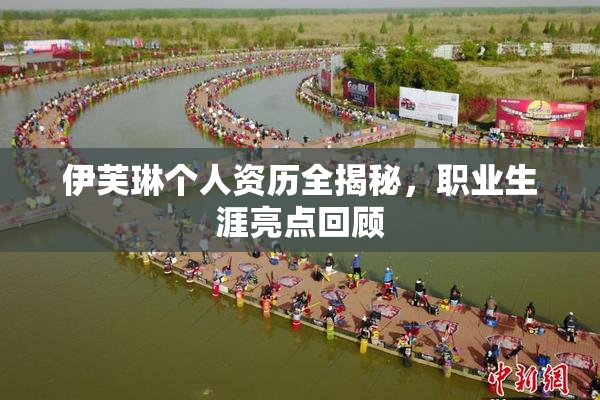 伊芙琳个人资历全揭秘，职业生涯亮点回顾