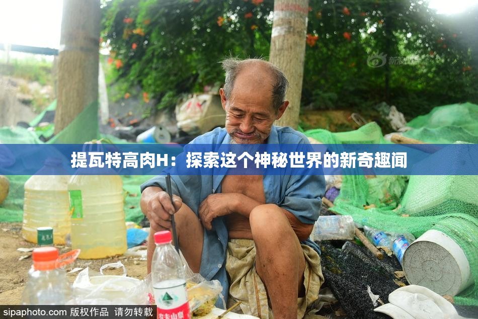 提瓦特高肉H：探索这个神秘世界的新奇趣闻