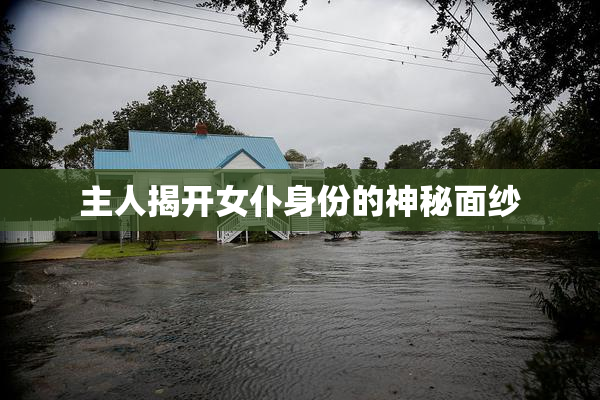 主人揭开女仆身份的神秘面纱