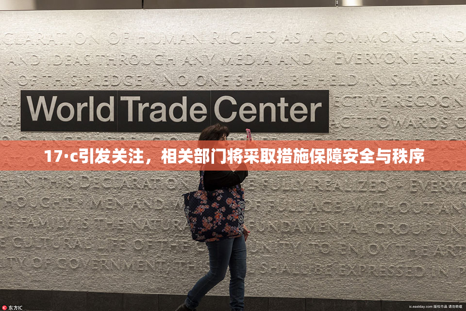 17·c引发关注，相关部门将采取措施保障安全与秩序