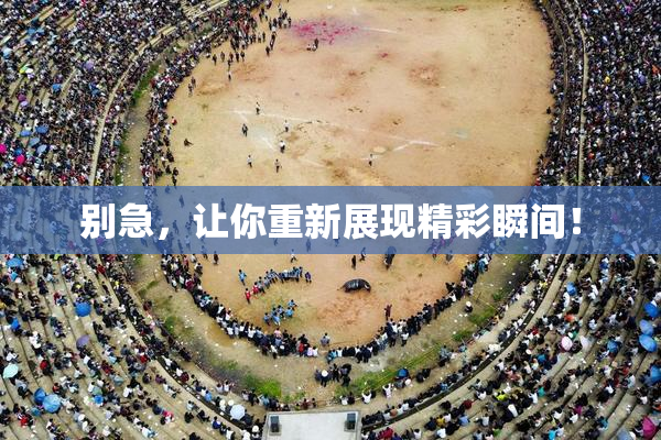 别急，让你重新展现精彩瞬间！