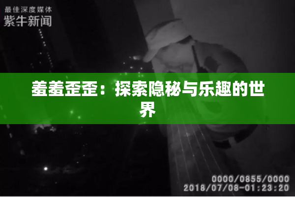 羞羞歪歪：探索隐秘与乐趣的世界